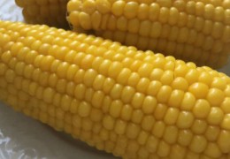Как сварить кукурузу